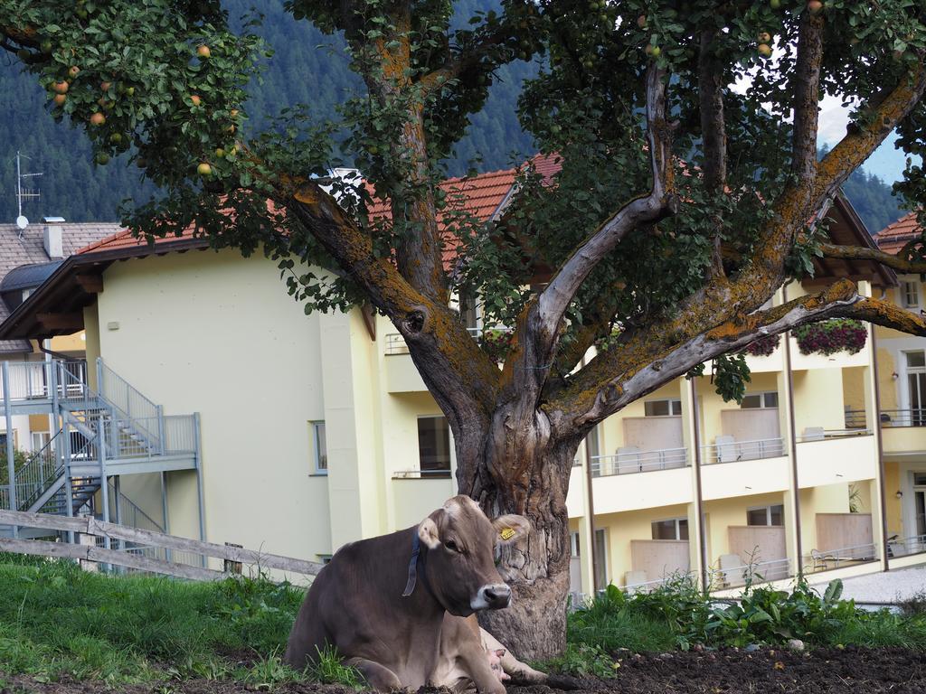Obermairhof Βίλα Olang Εξωτερικό φωτογραφία